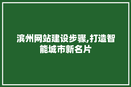 滨州网站建设步骤,打造智能城市新名片