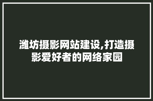 潍坊摄影网站建设,打造摄影爱好者的网络家园