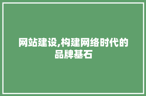 网站建设,构建网络时代的品牌基石