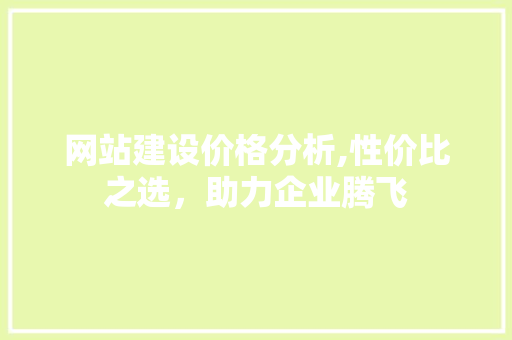 网站建设价格分析,性价比之选，助力企业腾飞 编程语言