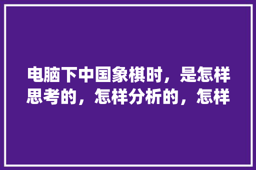 电脑下中国象棋时，是怎样思考的，怎样分析的，怎样运算的_象棋电脑基础知识和知识点