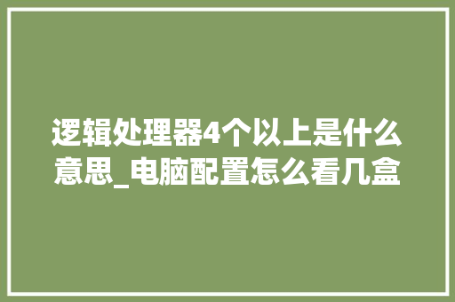 逻辑处理器4个以上是什么意思_电脑配置怎么看几盒电源