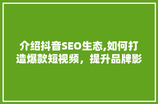 介绍抖音SEO生态,如何打造爆款短视频，提升品牌影响力 电脑故障维修