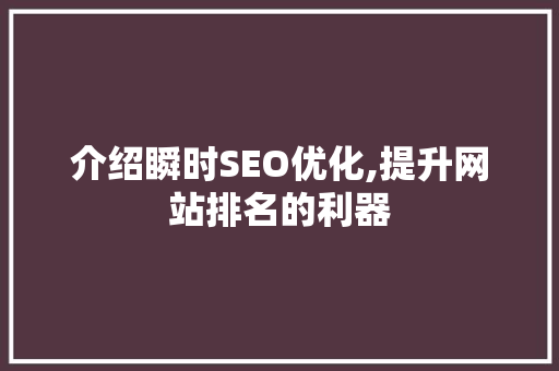 介绍瞬时SEO优化,提升网站排名的利器