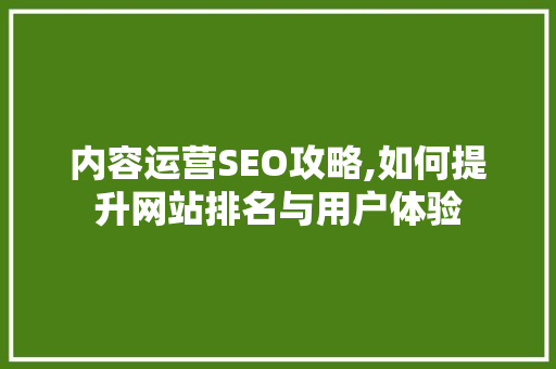 内容运营SEO攻略,如何提升网站排名与用户体验