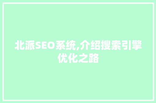 北派SEO系统,介绍搜索引擎优化之路