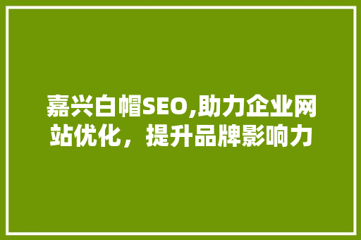 嘉兴白帽SEO,助力企业网站优化，提升品牌影响力