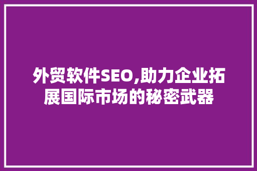 外贸软件SEO,助力企业拓展国际市场的秘密武器