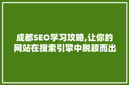 成都SEO学习攻略,让你的网站在搜索引擎中脱颖而出