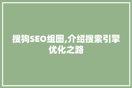 搜狗SEO组图,介绍搜索引擎优化之路 搜狗SEO组图,介绍搜索引擎优化之路