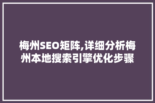 梅州SEO矩阵,详细分析梅州本地搜索引擎优化步骤