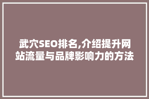 武穴SEO排名,介绍提升网站流量与品牌影响力的方法