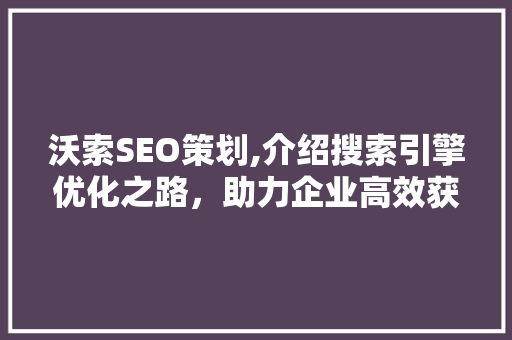 沃索SEO策划,介绍搜索引擎优化之路，助力企业高效获客