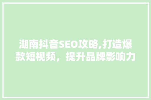 湖南抖音SEO攻略,打造爆款短视频，提升品牌影响力