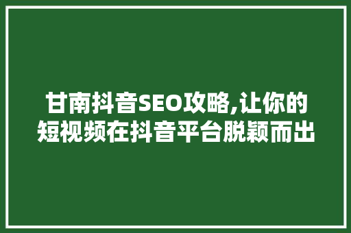甘南抖音SEO攻略,让你的短视频在抖音平台脱颖而出