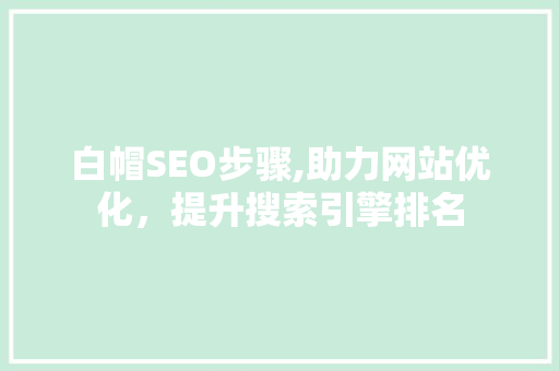 白帽SEO步骤,助力网站优化，提升搜索引擎排名
