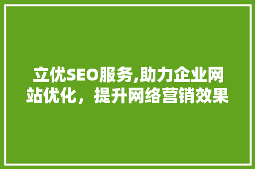 立优SEO服务,助力企业网站优化，提升网络营销效果