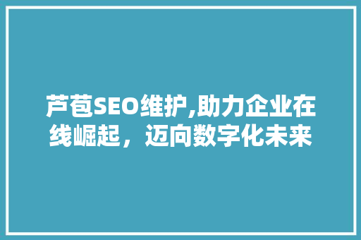芦苞SEO维护,助力企业在线崛起，迈向数字化未来