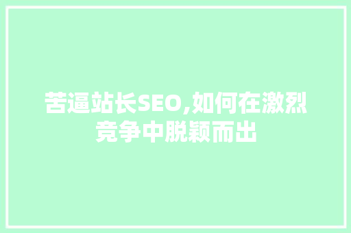 苦逼站长SEO,如何在激烈竞争中脱颖而出 网络技术