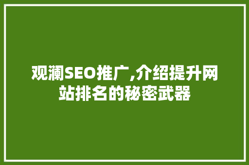 观澜SEO推广,介绍提升网站排名的秘密武器