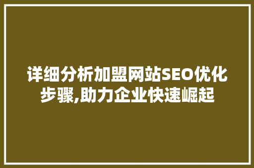 详细分析加盟网站SEO优化步骤,助力企业快速崛起