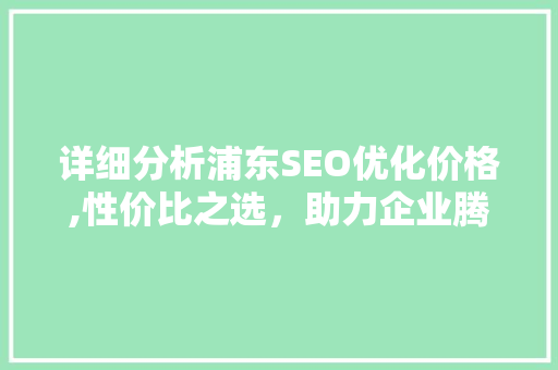 详细分析浦东SEO优化价格,性价比之选，助力企业腾飞