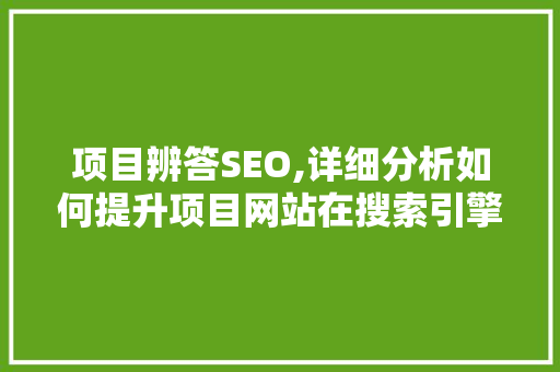 项目辨答SEO,详细分析如何提升项目网站在搜索引擎中的排名 编程语言
