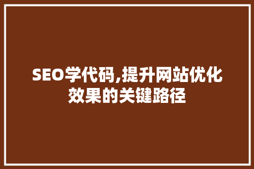 SEO学代码,提升网站优化效果的关键路径