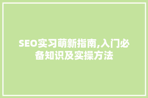 SEO实习萌新指南,入门必备知识及实操方法