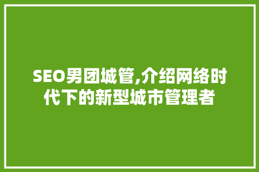 SEO男团城管,介绍网络时代下的新型城市管理者