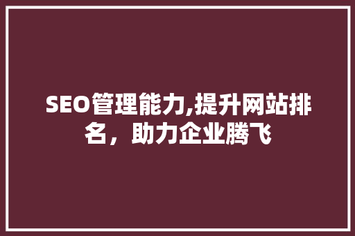SEO管理能力,提升网站排名，助力企业腾飞