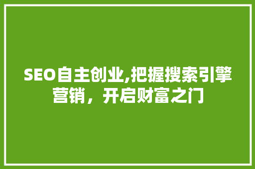 SEO自主创业,把握搜索引擎营销，开启财富之门