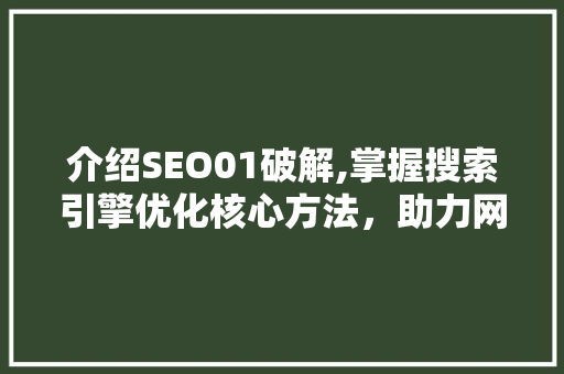 介绍SEO01破解,掌握搜索引擎优化核心方法，助力网站排名提升