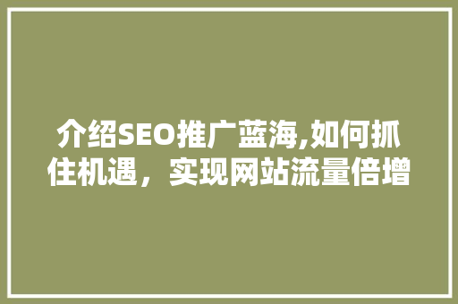 介绍SEO推广蓝海,如何抓住机遇，实现网站流量倍增