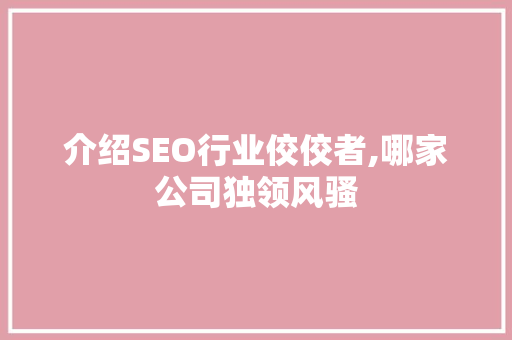 介绍SEO行业佼佼者,哪家公司独领风骚