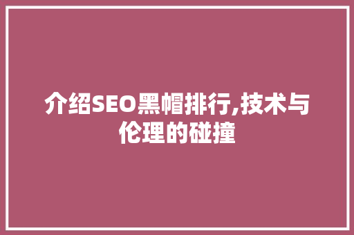 介绍SEO黑帽排行,技术与伦理的碰撞
