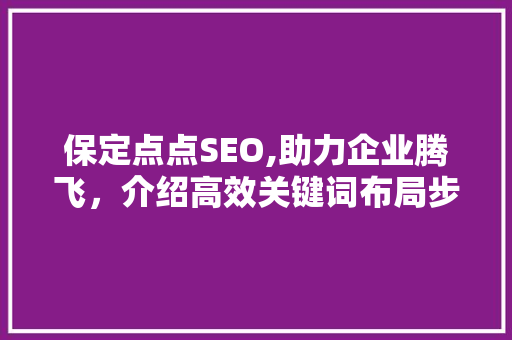 保定点点SEO,助力企业腾飞，介绍高效关键词布局步骤