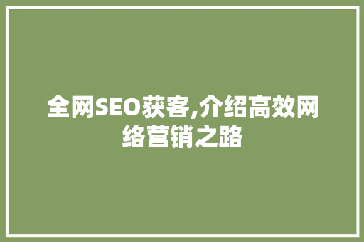 全网SEO获客,介绍高效网络营销之路 全网SEO获客,介绍高效网络营销之路