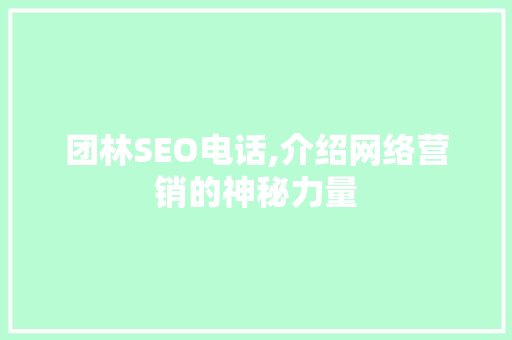 团林SEO电话,介绍网络营销的神秘力量