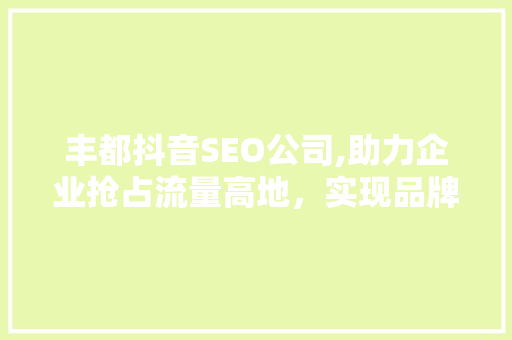 丰都抖音SEO公司,助力企业抢占流量高地，实现品牌价值最大化