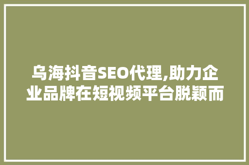 乌海抖音SEO代理,助力企业品牌在短视频平台脱颖而出