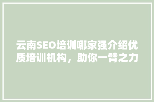 云南SEO培训哪家强介绍优质培训机构，助你一臂之力！