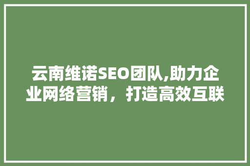 云南维诺SEO团队,助力企业网络营销,打造高效互联网品牌形象 云南维诺SEO团队,助力企业网络营销,打造高效互联网品牌形象