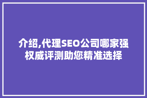介绍,代理SEO公司哪家强权威评测助您精准选择