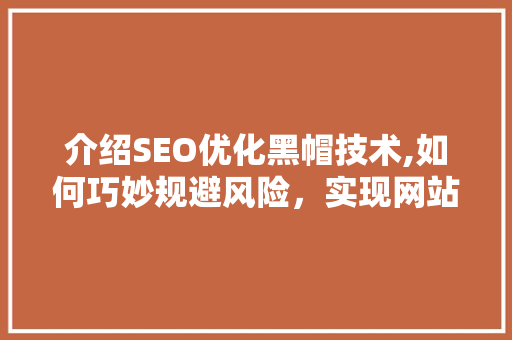 介绍SEO优化黑帽技术,如何巧妙规避风险，实现网站流量倍增