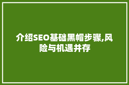 介绍SEO基础黑帽步骤,风险与机遇并存