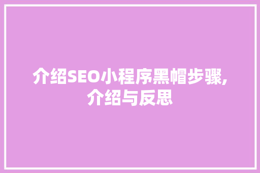 介绍SEO小程序黑帽步骤,介绍与反思