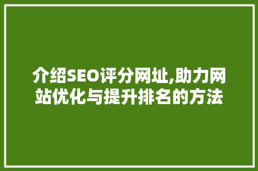 介绍SEO评分网址,助力网站优化与提升排名的方法