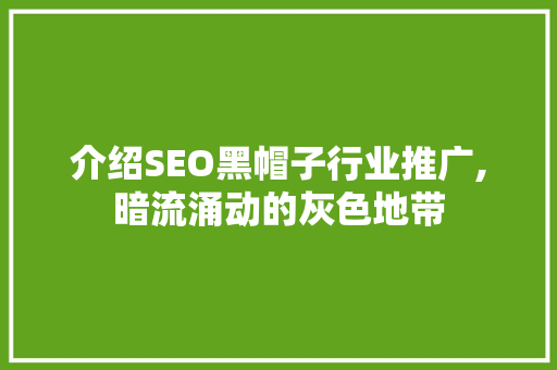 介绍SEO黑帽子行业推广,暗流涌动的灰色地带