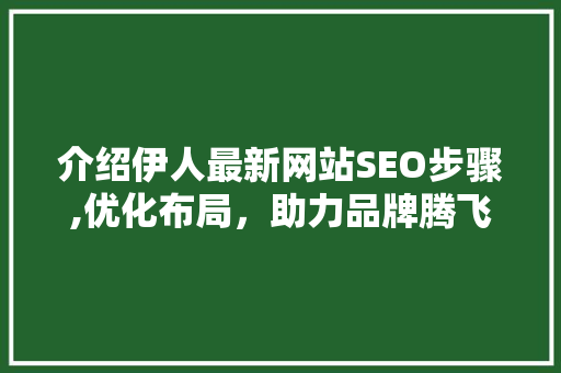 介绍伊人最新网站SEO步骤,优化布局，助力品牌腾飞